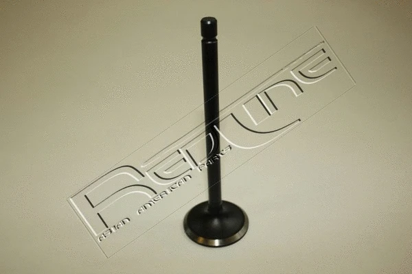 Intake Valve (15SZ002)