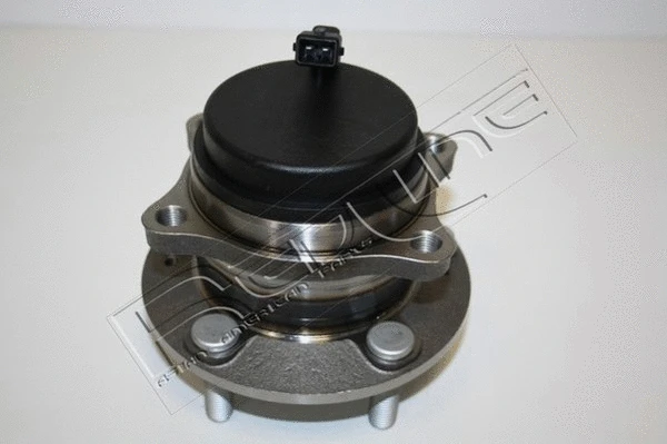 Wheel Hub (24HY056)