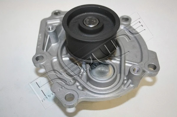 Water Pump, engine cooling (28CH014)
