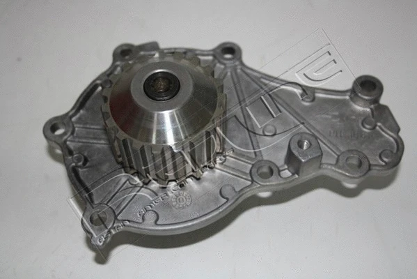 Water Pump, engine cooling (28MZ022)