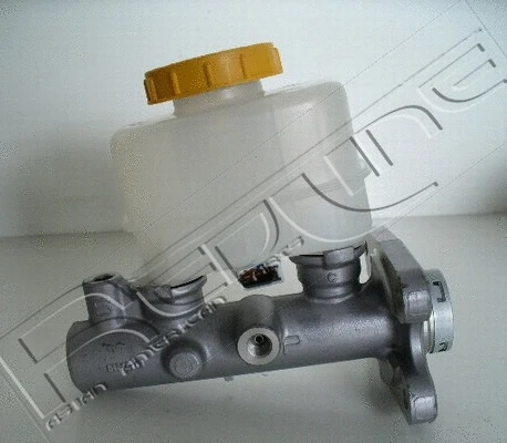 Brake Master Cylinder (09NI024)