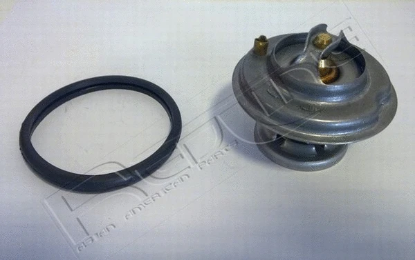 Thermostat, coolant (55SS000)