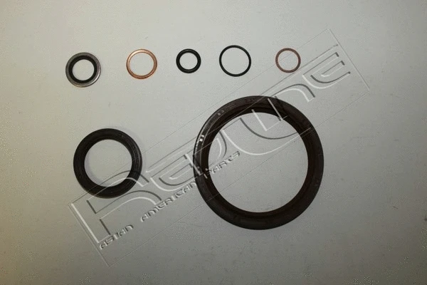 Gasket Kit, crankcase (33NI057)