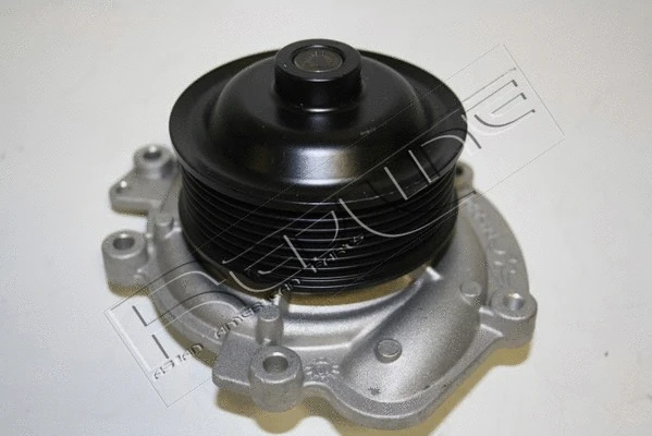 Water Pump, engine cooling (28JE017)