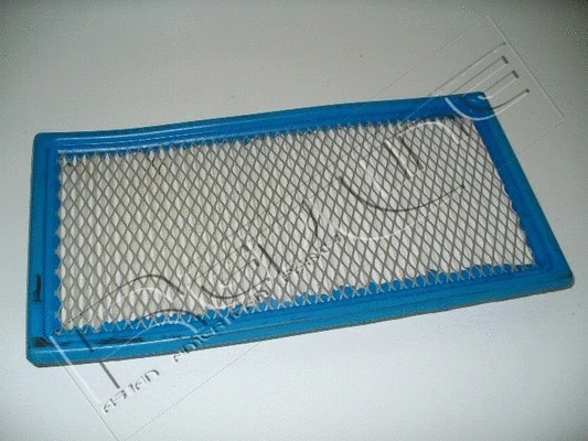 Air Filter (36DG002)