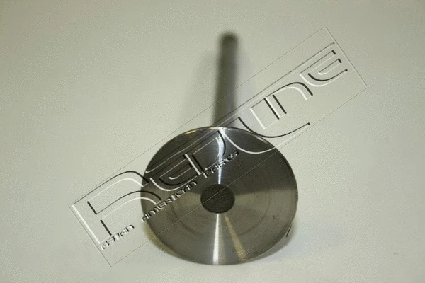 Intake Valve
