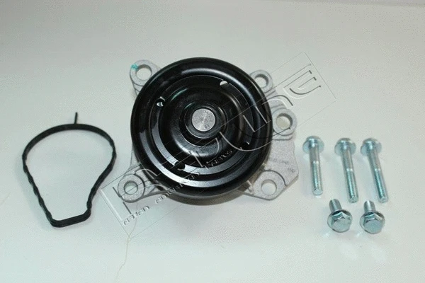 Water Pump, engine cooling (28TO032)