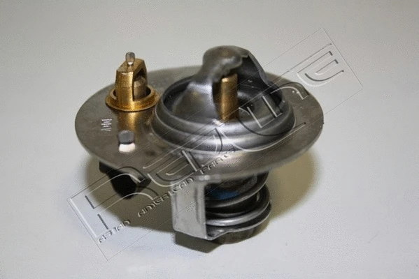 Thermostat, coolant (55SZ001)