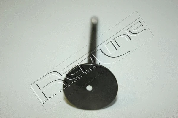 Intake Valve