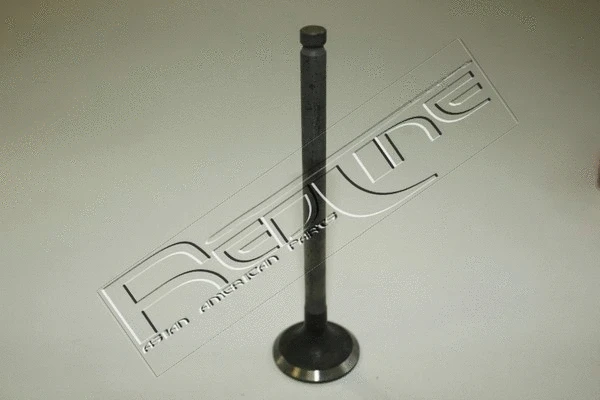 Exhaust Valve (15NI031)