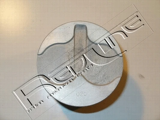 Piston (20NI017)