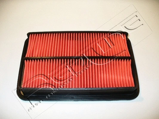 Air Filter (36MZ019)