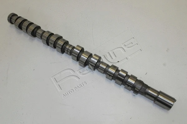 Camshaft (16MZ003)