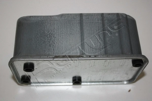 Fuel Filter (37JE010)