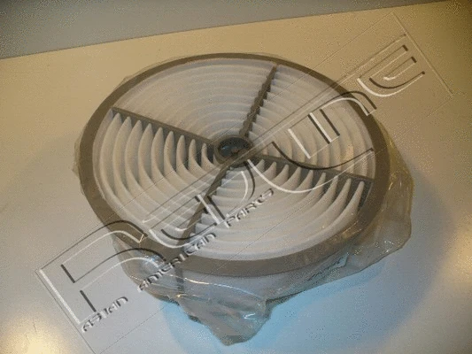 Air Filter (36LX007)