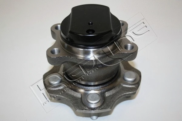 Wheel Hub (24NI042)