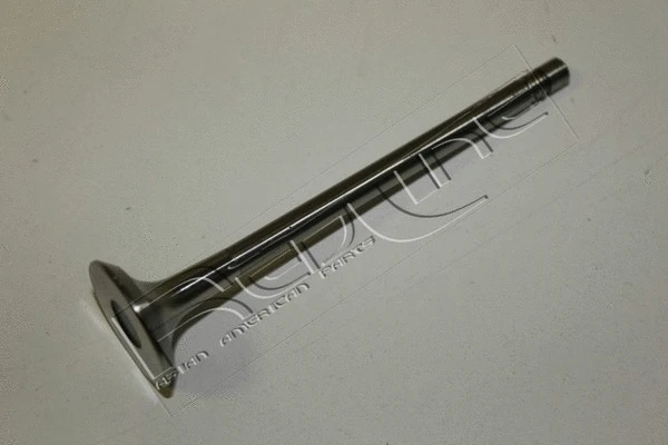 Exhaust Valve (15NI039)