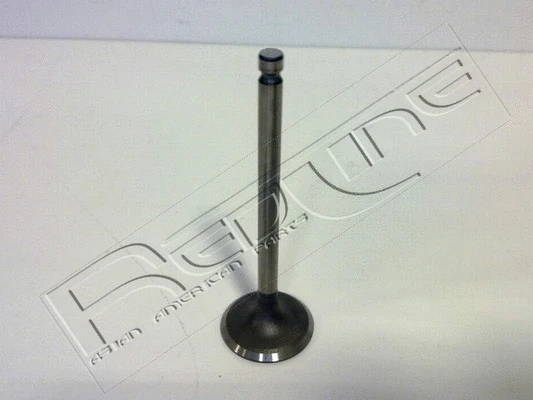 Intake Valve (15KI016)