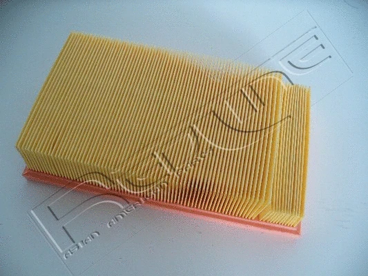 Air Filter (36NI043)