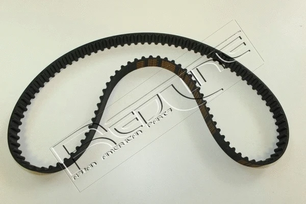 Timing Belt (29HY025)