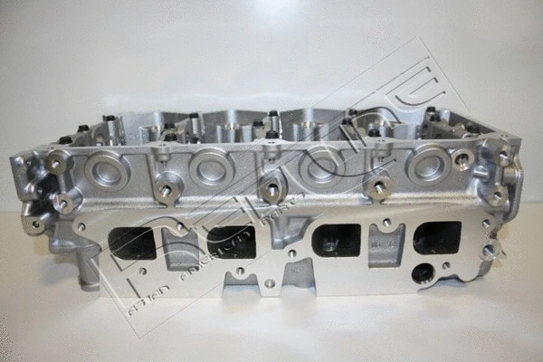 Cylinder Head (21NI024)