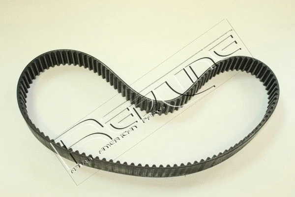 Timing Belt (29MI019)
