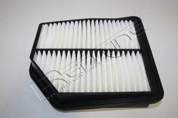 Air Filter (36SZ049)