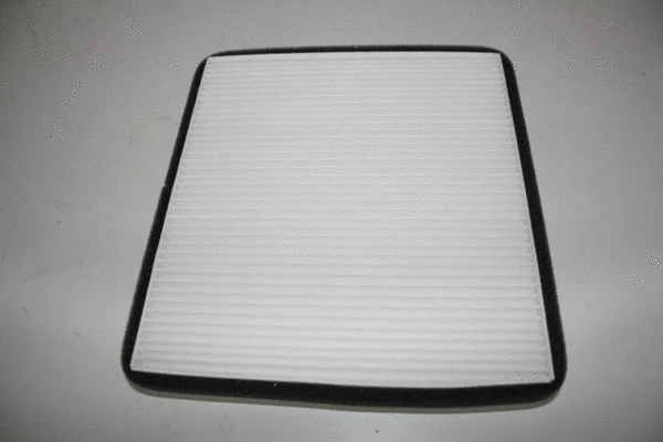 Filter, cabin air (36CV035)