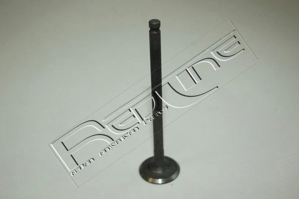 Exhaust Valve (15NI009)