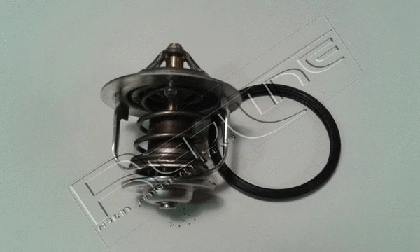 Thermostat, coolant (55TO000)