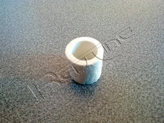 Fuel Filter (38TT013)