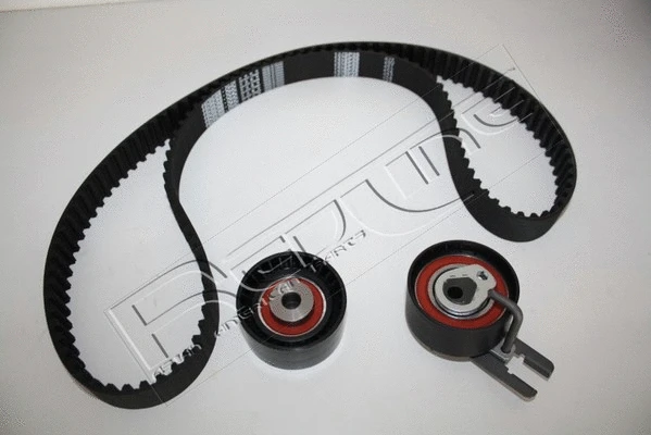 Timing Belt Kit (30MZ011)