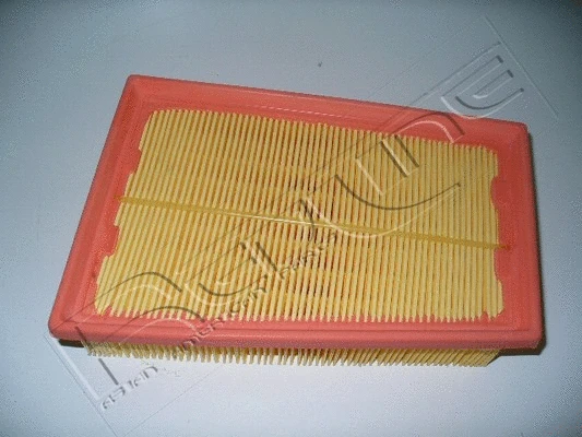 Air Filter (36NI016)