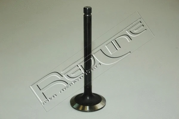 Intake Valve (15KI004)