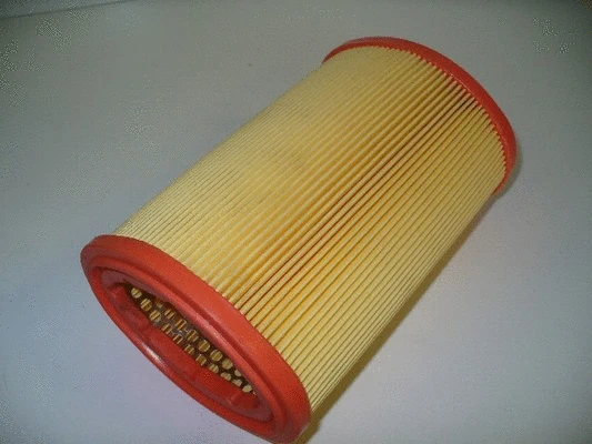 Air Filter (36NI036)