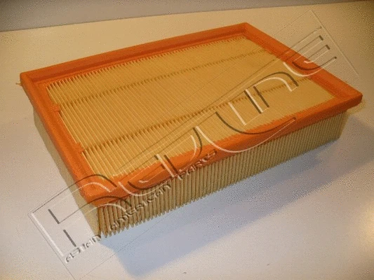 Air Filter (36RV012)