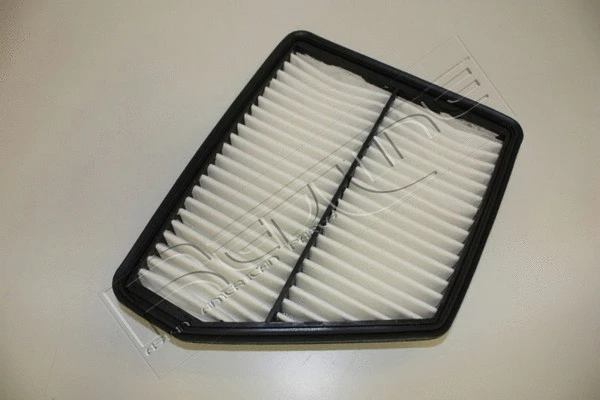 Air Filter (36HY065)