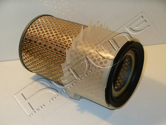 Air Filter (36RV006)