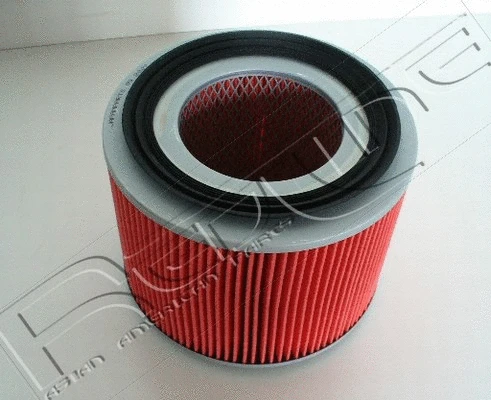Air Filter (36NI039)