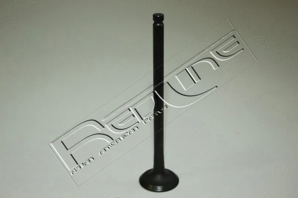 Exhaust Valve (15NI007)