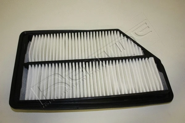 Air Filter (36HO028)