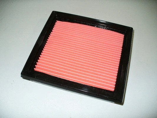 Air Filter (36NI034)