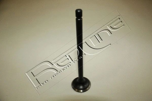 Exhaust Valve (15SZ003)