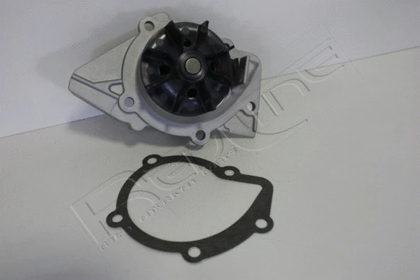 Water Pump, engine cooling (28SZ022)