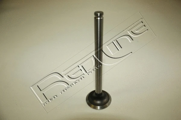 Exhaust Valve (15TA003)