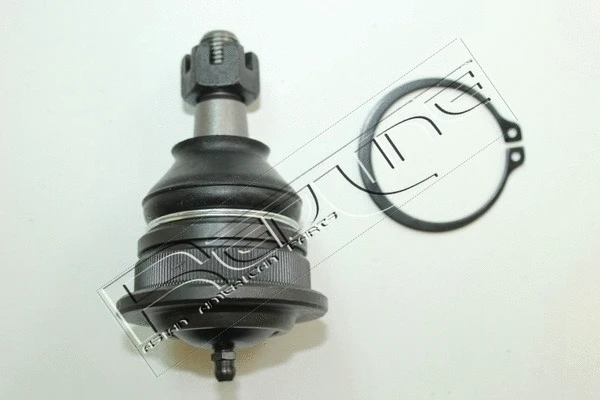 Ball Joint (40NI078)