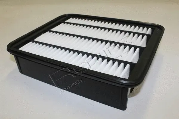 Air Filter (36TO072)