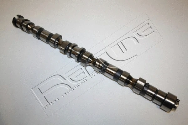 Camshaft (16HY008)