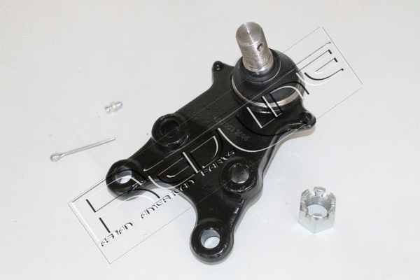 Ball Joint (40IZ030)