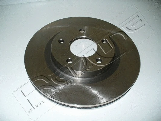 Brake Disc (26JE012)